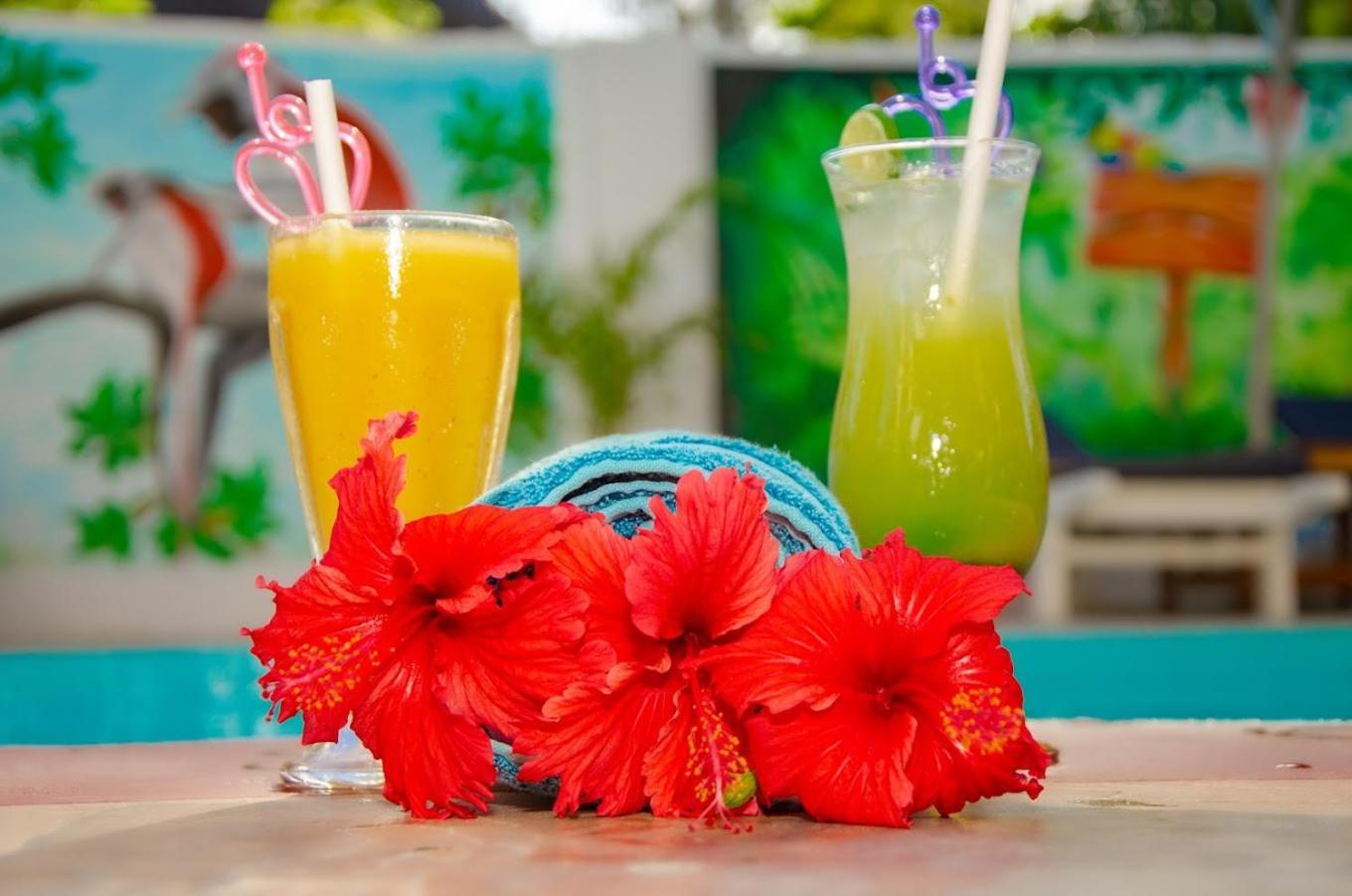 Hotel Pamas Boutique Michamvi